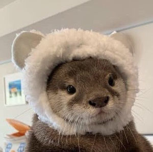 Meet your Posher, William